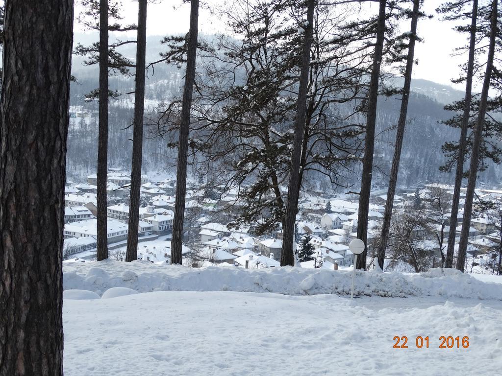 Hotel Complex Brashlyan Trjawna Exterior foto